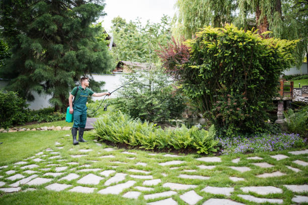 Best Affordable Pest Control Services  in Springmont, PA