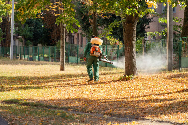 Best Wildlife Control Services  in Springmont, PA